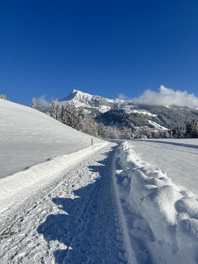 Apartamento Waldnest Kitzbühel Exterior foto